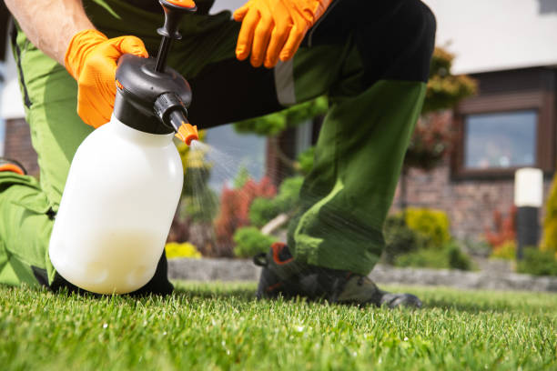 Best Wasp Removal Services  in Egon City, OR