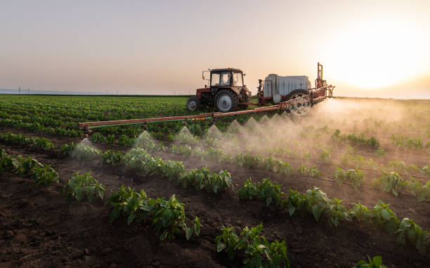 Professional Pest Control in Oregon City, OR
