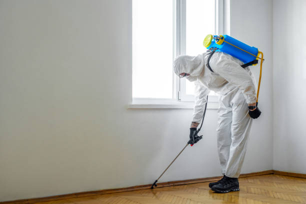 Best Flea Control Services  in Egon City, OR