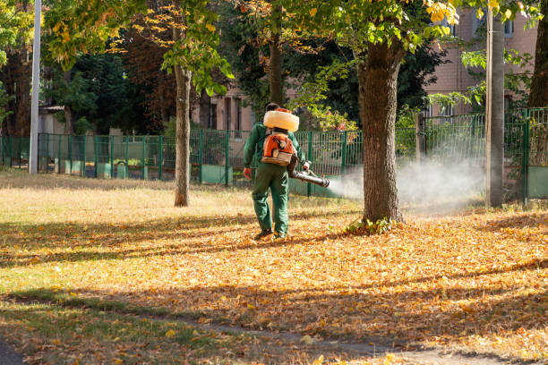 Best Bird Control  in Egon City, OR