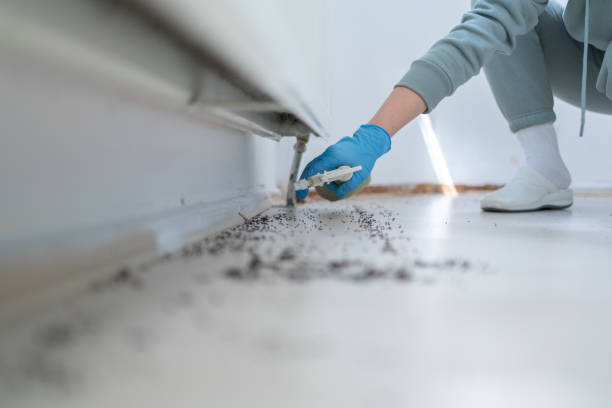 Best Best Pest Control Companies  in Egon City, OR