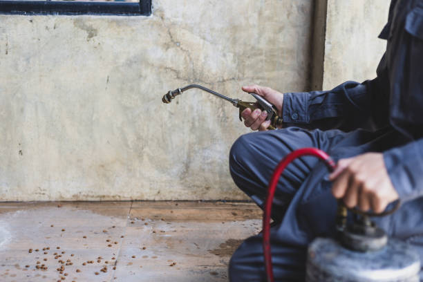 Best Best Pest Control Companies  in Egon City, OR