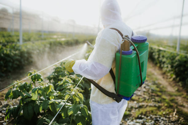 Best Residential Pest Control  in Egon City, OR